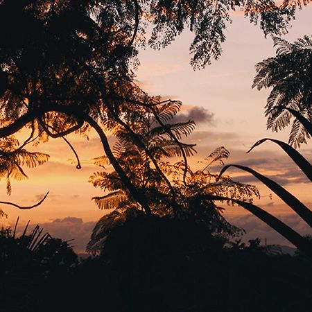 Kampala Forest Resort Exterior foto